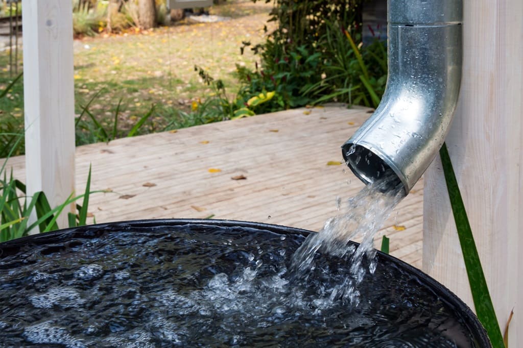 Rain Barrel